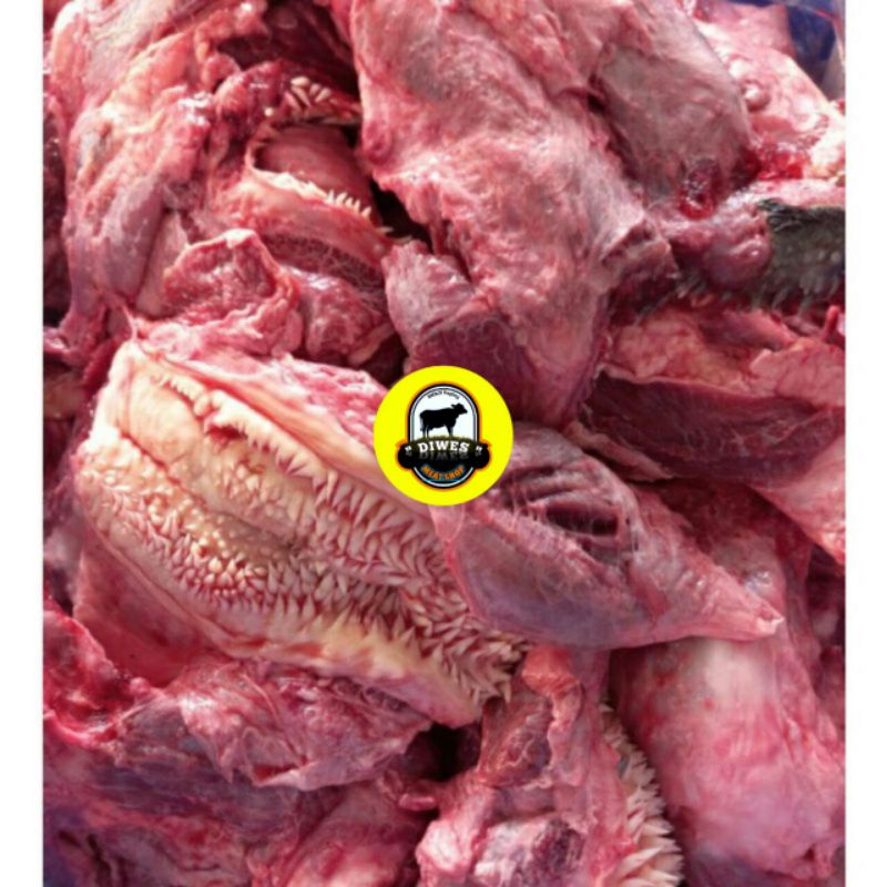 

DAGING CINGUR LIPS 1kg DAGING KEPALA SAPI NO 1 1KG