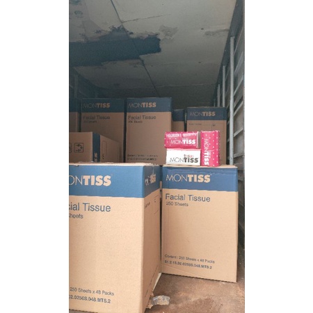 Tissue Montiss 250 sheet