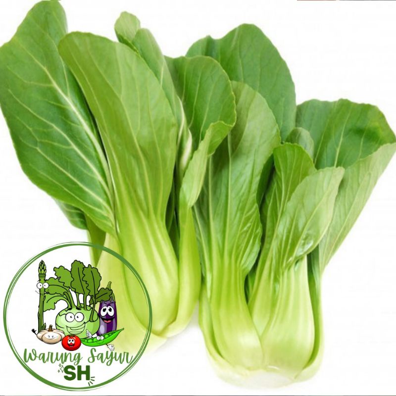 

Pak Choi 500 gram / Bok Choy / Pak Coy / Bok Coy / Pakcoy