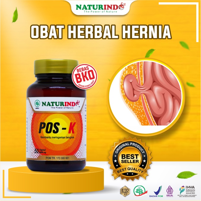 Obat Hernia Paling Ampuh Herbal Hernia Obat Turun Berok Dewasa Anak Naturindo