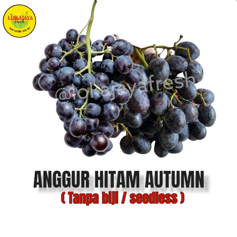 

Anggur Black Autumn 1 Kg