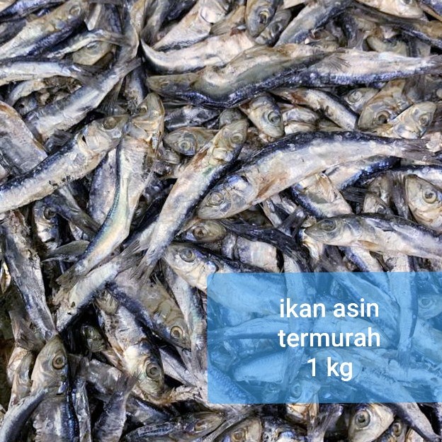 

ikan asin termurah 1 kg