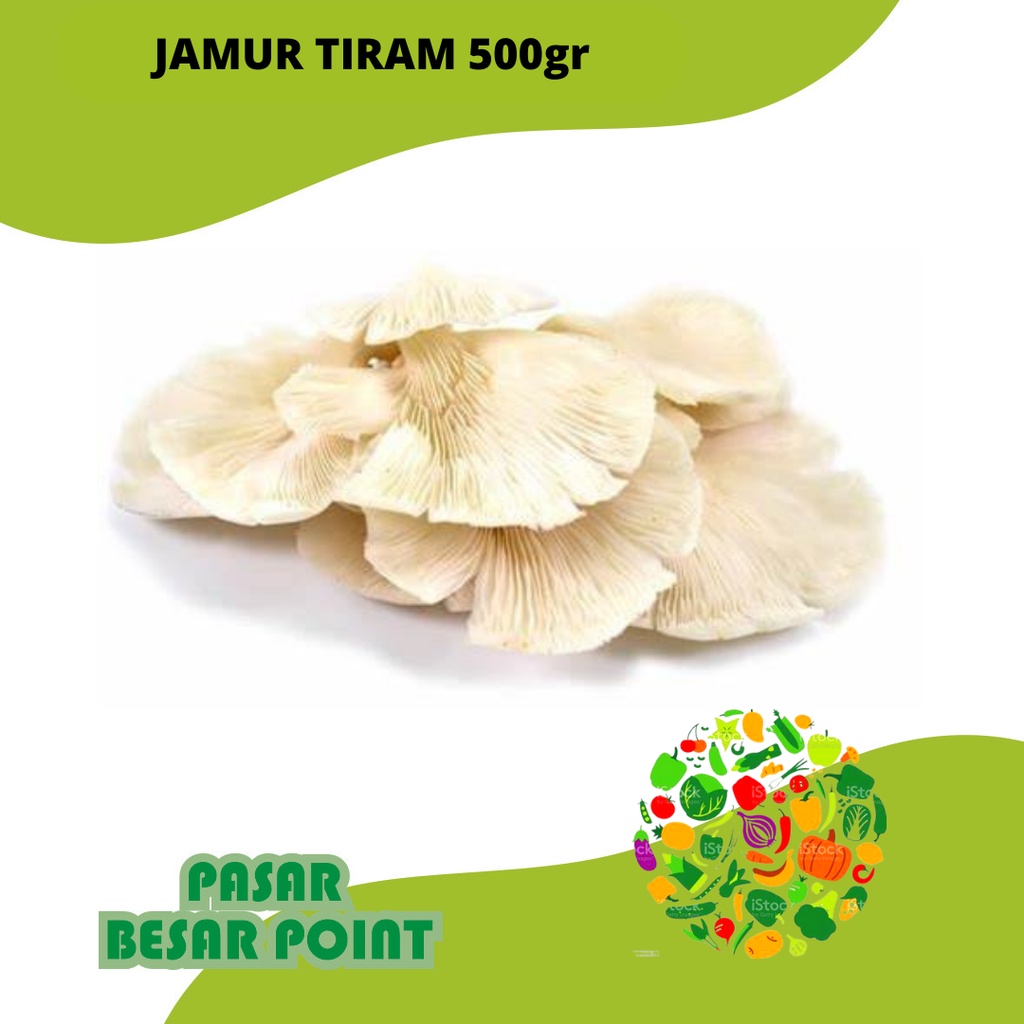 

jamur tiram