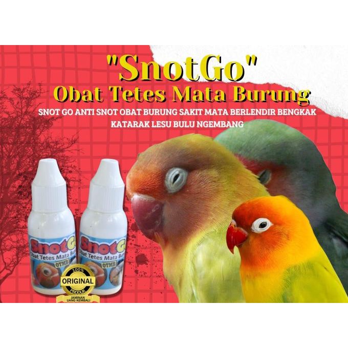 Obat Mata Burung Murai Batu SNOT GO Original
