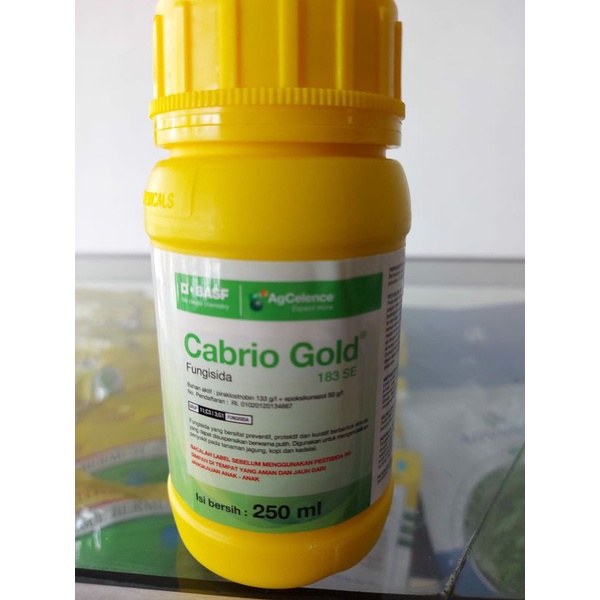 CABRIO GOLD 250 ML