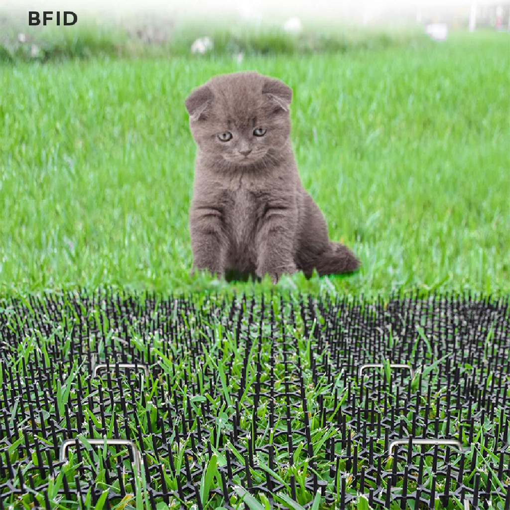 [BFID] Garden Prickle Strip Gali Stop Cat Repellent Jera Tikar Spike Portable [ID]