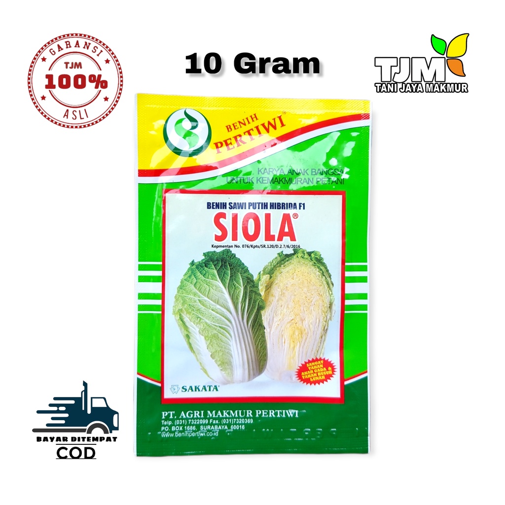 SIOLA 10 GRAM/BENIH SAWI PUTIH HIBRIDA F1/BIBIT PECAY SIOLA/BIBIT PECAI SIOLA/BENIH PERTIWI/BIBIT SA