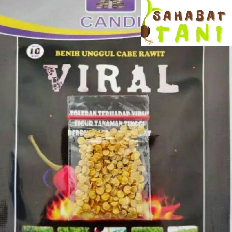 Benih Cabe Rawit Viral Repack 50 Biji