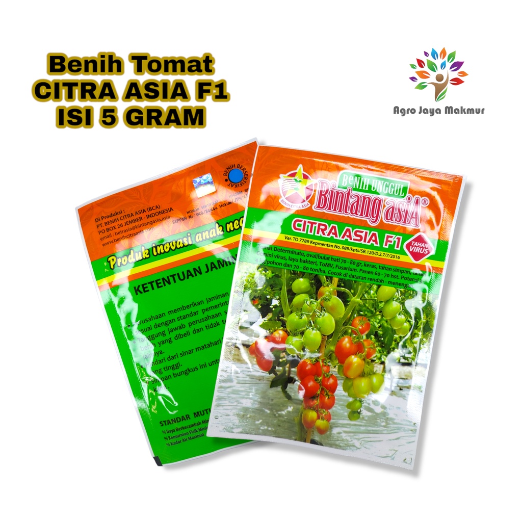 BENIH TOMAT CITRA ASIA ISI 5 GRAM/BIBIT TOMAT UNGGUL/BINTANG ASIA