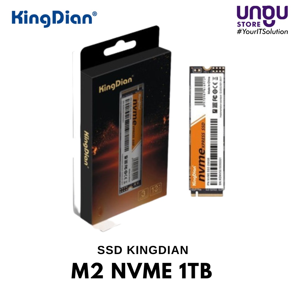 SSD 1TB M2 Nvme Kingdian