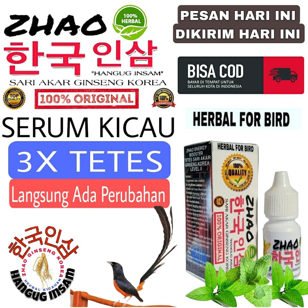 Zhao Herbal Akar Ginseng Suplemen Vitamin Protein Semua Jenis Burung Murai