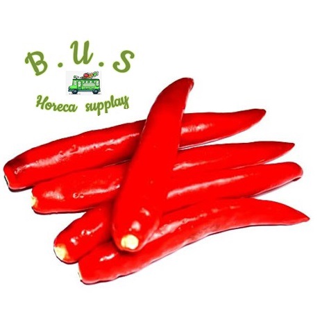 

Cabe Merah Besar Petik 1 Kg B.U.S