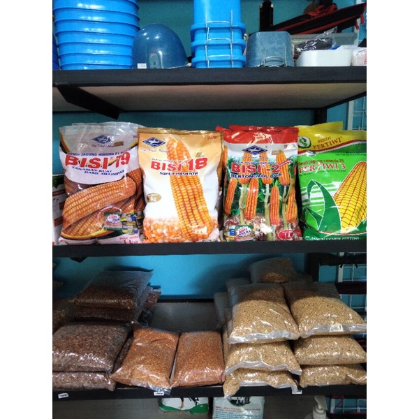 BENIH JAGUNG HIBRIDA BISI 79 1 KG