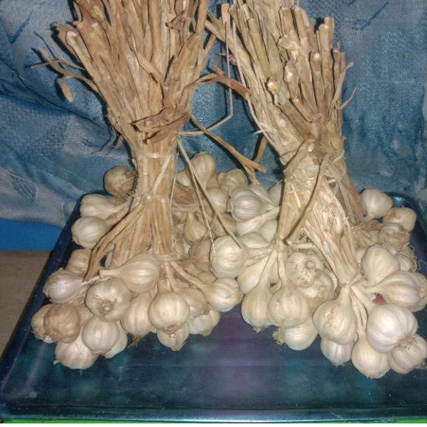 

Bawang putih lokal 250gram