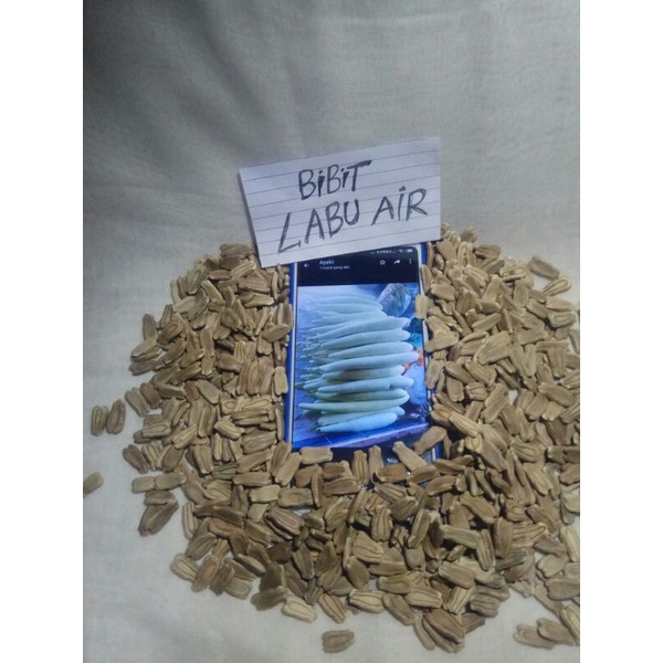 bibit labu air terompet / bibit labu air panjang 20gram (110 biji)