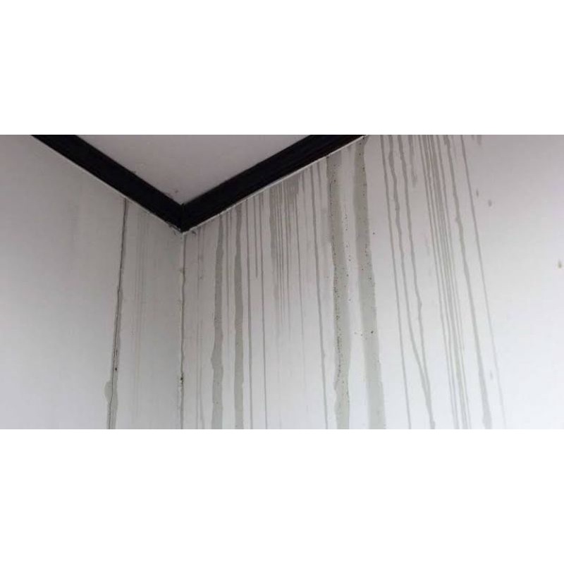 Lem Transparan Pelapis Anti Bocor beton dinding Extra kuat dan Cepat kering 1Kg - Golden Horse