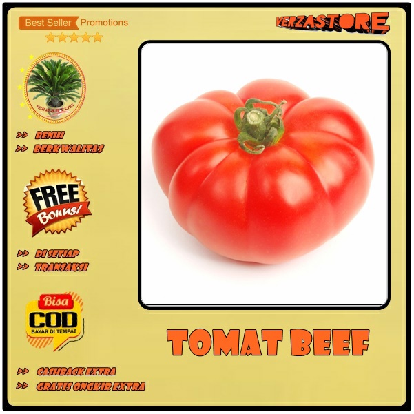 biji/benih/bibit buah tomat beef beefsteak /10 biji