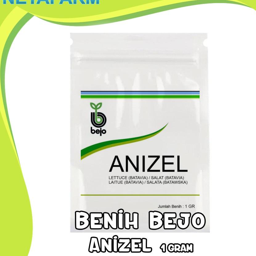 TERBARU  Benih / Biji / Bibit BEJO ANIZEL Selada Batavia - Kemasan 1 Gram