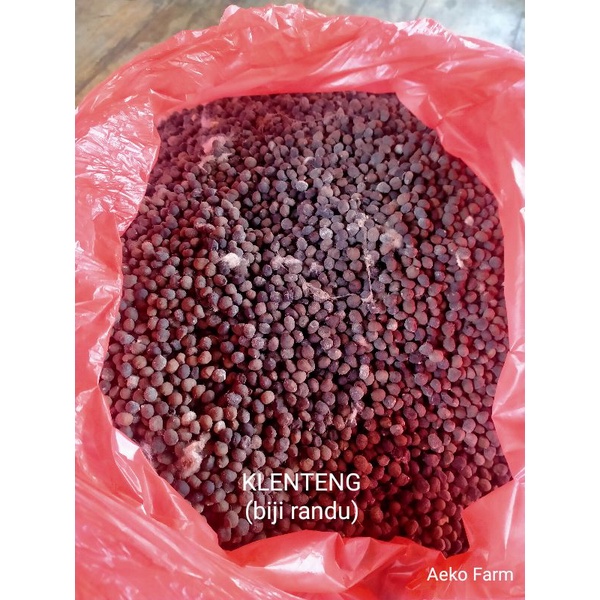 

BIJI KLENTENG KAPUK RANDU (500g Hrg 20rb)