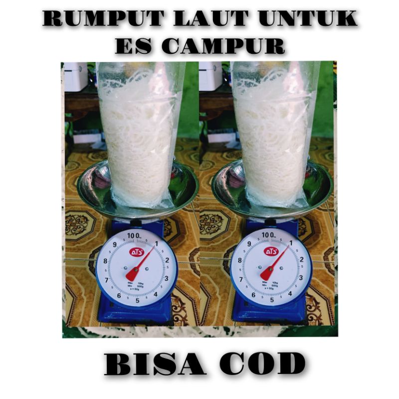 

Rumput laut isi 500g putih jenis spinosium