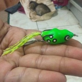 soft frog ekor killer