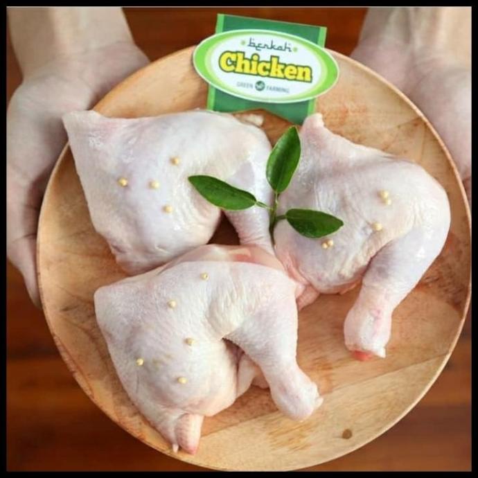 

PROMO PAHA UTUH AYAM ORGANIK BERKAH CHICKEN TERLARIS F5464RY
