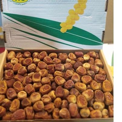 

♘ kurma SUKARI 3 KG ♥