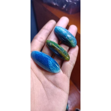 pandan ijo lumut sisik betok