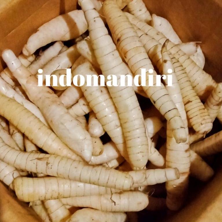 

Best seller Ubi GARUT Segar / Umbi Garut 1kg / Ubi Patat / Ubi Sagu / Garut Fresh FJM