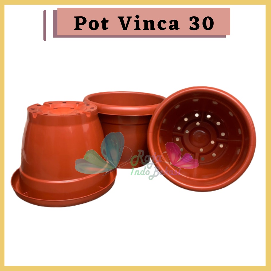 Pot Gentong VINCA 30 COKLAT Pot Plastik Bunga Jumbo Besar Tebal Murah Tanaman Bkn Pot Tawon 30 Pot Tulip 45 20 30 Galaxy 25 40-Pot Bunga Putih 30 Strawberry | Pot Tanaman Plastik Besar