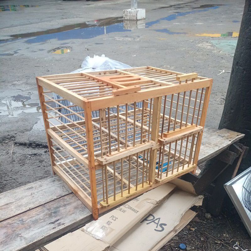 sangkar kandang dondang burung dara merpati kayu mahoni pintu 4