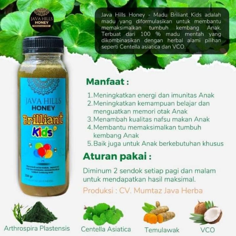 

MADU BRILLIANT KIDS HERBAL ASLI PREMIUM JAVA HILLS HONEY 330GR