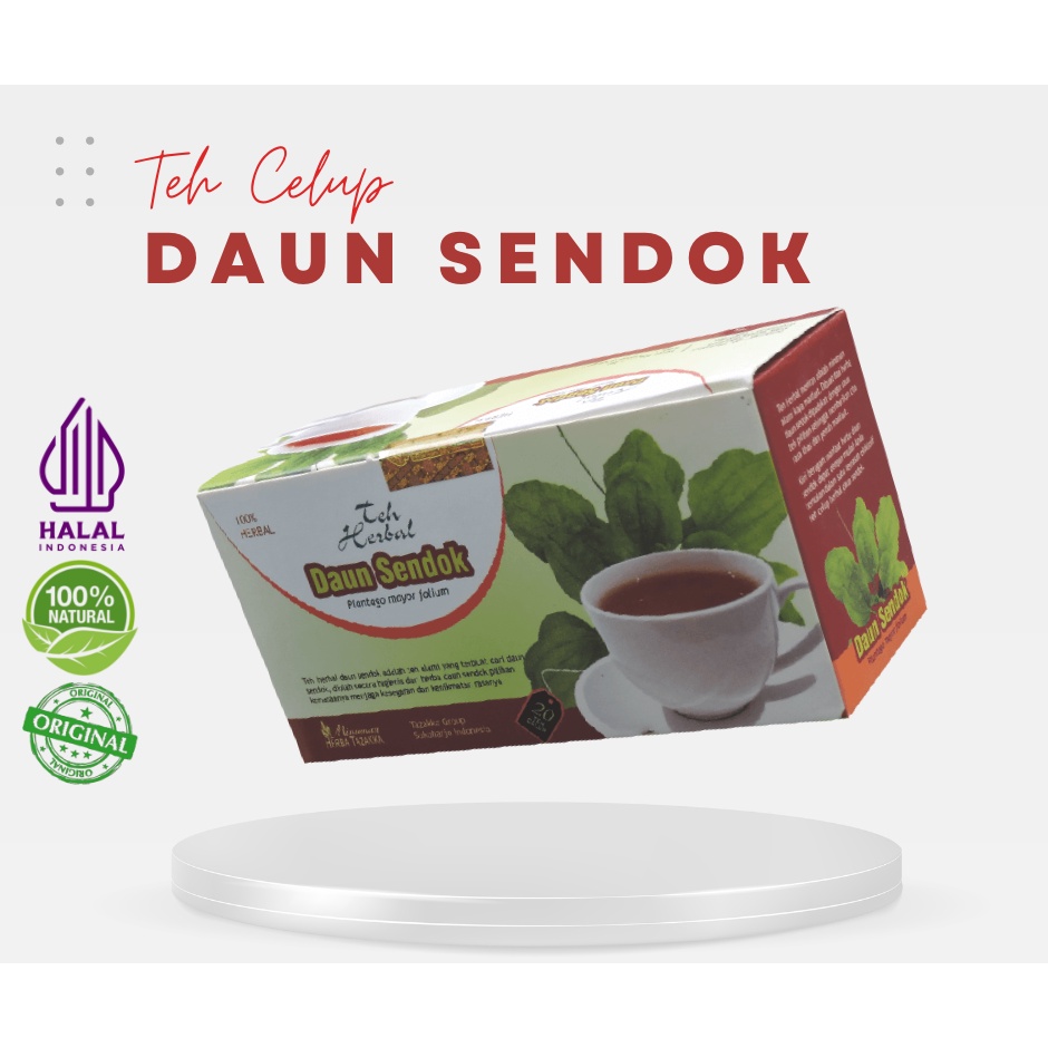 

Herbal Teh Daun Sendok atasi Kencing Berdarah Hepatitis Bronkitis
