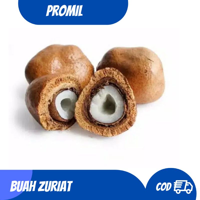 

Buah Zuriat Mesir Promil 1 kg