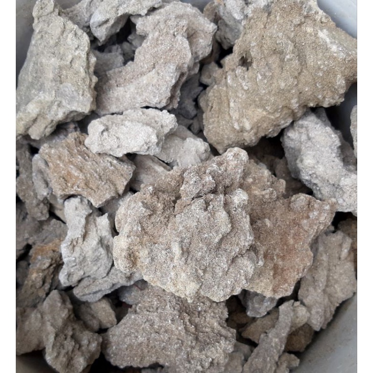 Batu Karang Pasir 1 Kilo Sand Stone Hardscape Aquascape