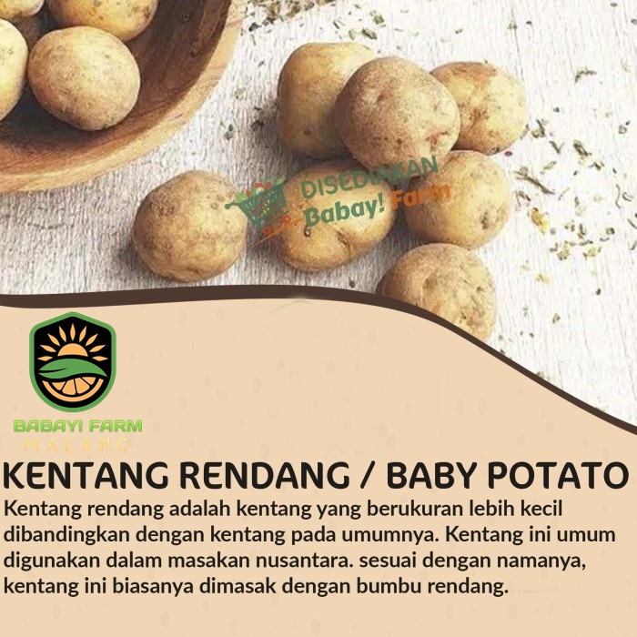 

Kentang Rendang Kecil / Baby Potato