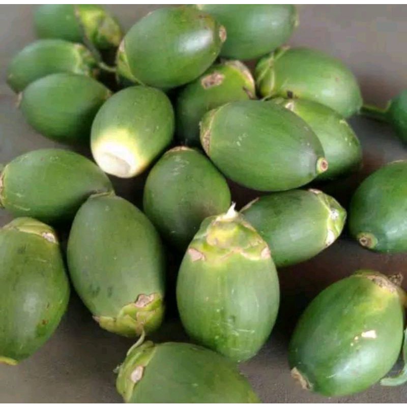 

BUAH PINANG/JAMBE MUDA || OBAT KUAT PRIA ALAMI (PerButir)