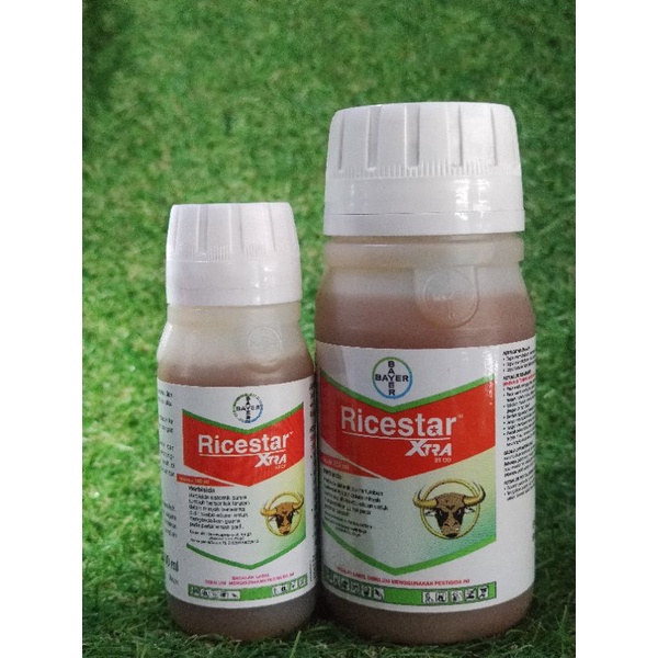 Ricestar 100ml