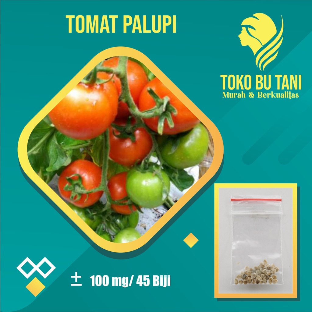 Paket 4 Benih Sayur Tomat Siap Semai Terjangkau