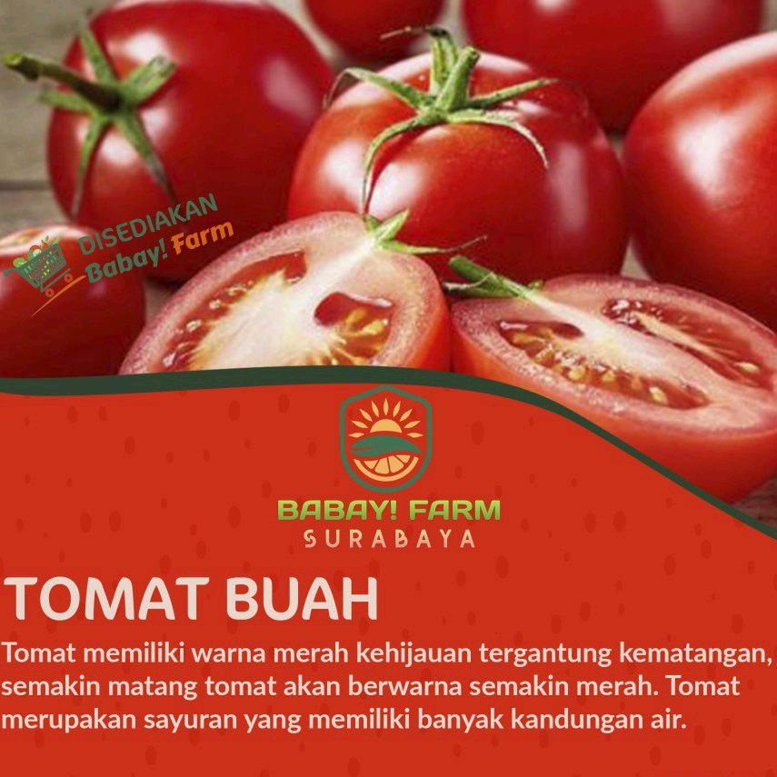 

Tomat Buah / Red Tomato 250 500 gr / 1 kg