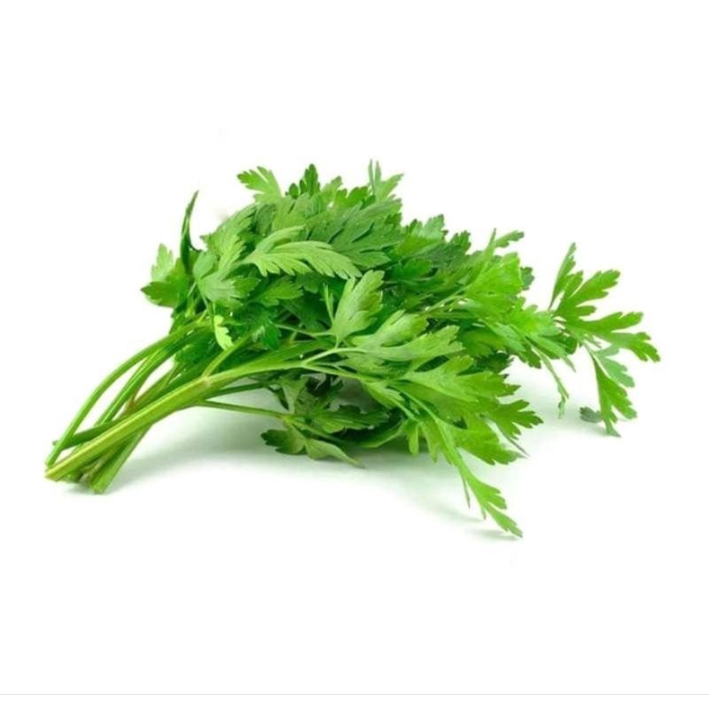 

Daun segar seledri [ 150g ]