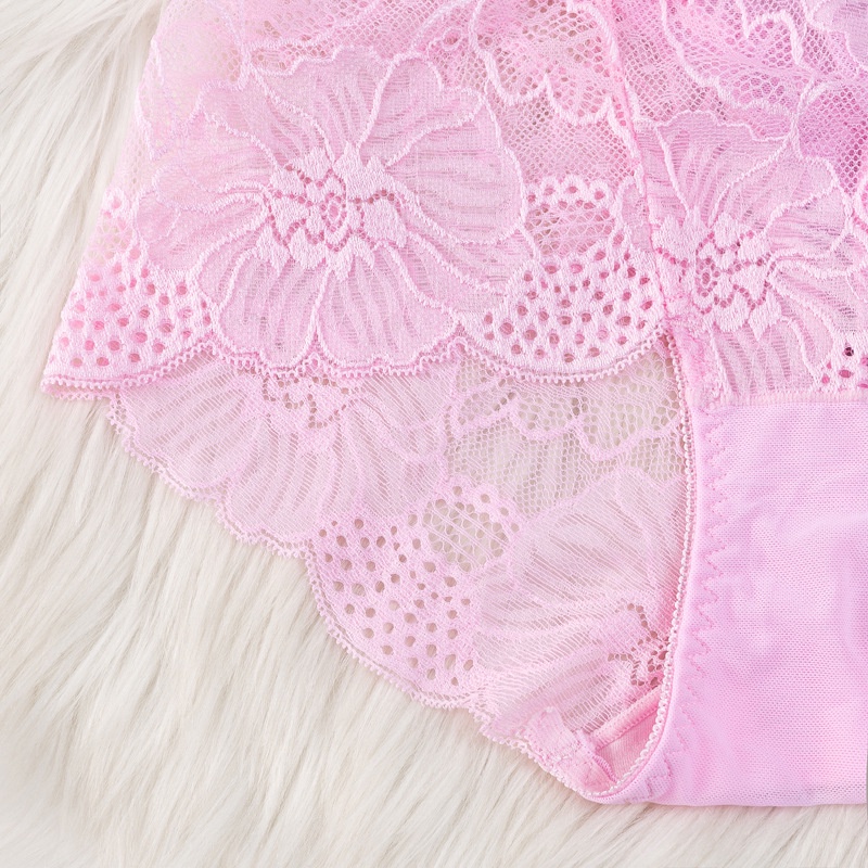 Celana Dalam Sexy CD Wanita Gemuk Mid-waist Briefs Sexy Mesh