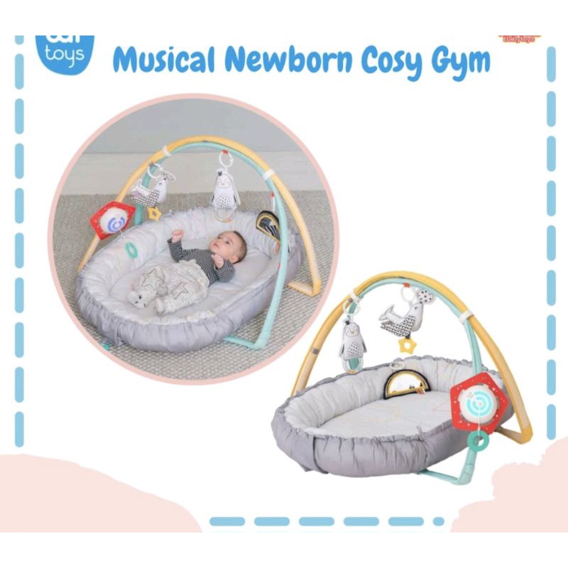 Taf toys musical cosy gym