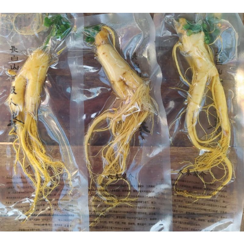 

Akar ginseng berat 100 gram