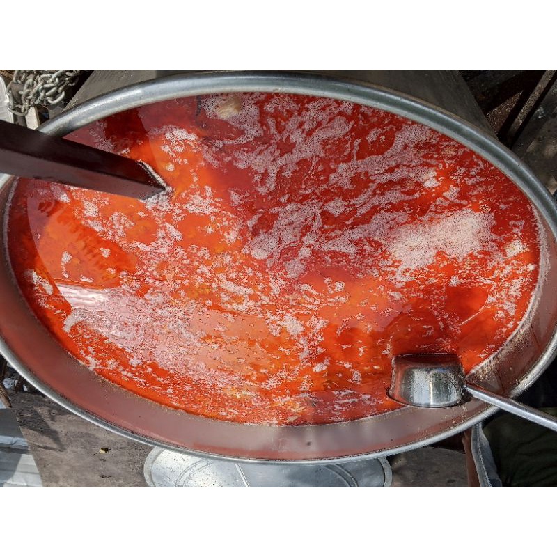 minyak ikan salmon murni 100%