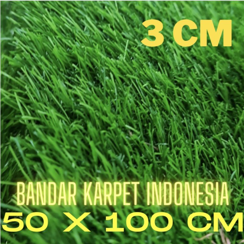 RUMPUT SINTETIS SWISS ukuran 50 x 100 CM