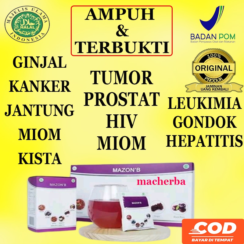 Paket Hemat Obat Herbal Khusus Batu Ginjal Dan Batu Empedu Original Mazon B dan K Muricata