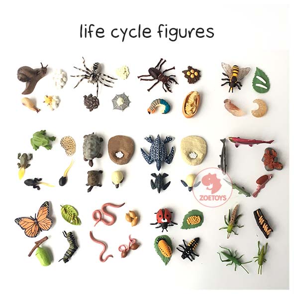 Zoetoys Life Cycle Figures Set | Tray | Miniatur Animal of Ant Bee Butterfly Chicken Frog Lady Bug Sea Turtle Salmon Green Bean Figurine Figure Siklus Hidup Hewan Model Binatang | Mainan Edukasi Anak Toys