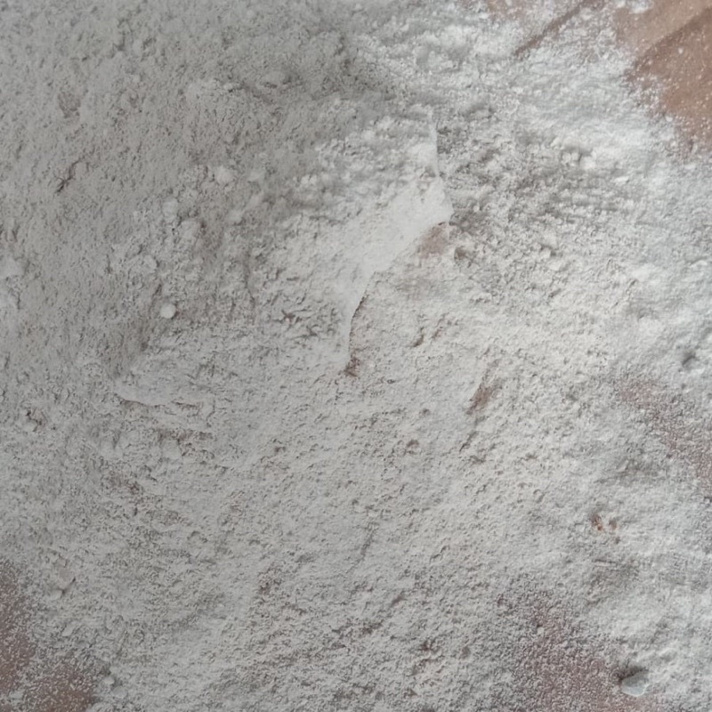 MURNI Tepung Tulang Sotong halus | Bubuk Tulang Sotong | Kalsium Max Reptil Tortoise