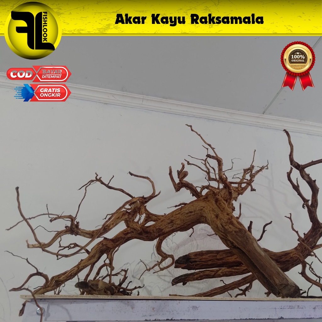 KAYU AKAR RASMALA UNTUK AQUASCAPE SIZE S M L